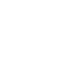 prosaz_web_icon_white_chd